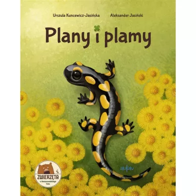 Plany i plamy - Urszula  Kuncewicz-Jasi�ska