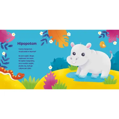 Weso�e zoo. Ksi��ka z puzzlami
