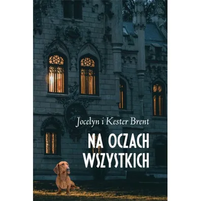 Na oczach wszystkich (pocket) - Brent Jocelyn, Brent Kester