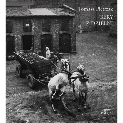 Bery z dzielni - Tomasz Pietrzak