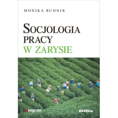 Socjologia pracy w zarysie - Monika Budnik