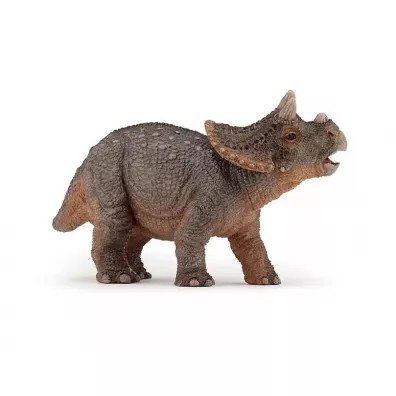 Triceratops mody