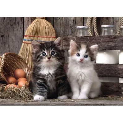 Puzzle 1000 el. Lovely Kittens Clementoni