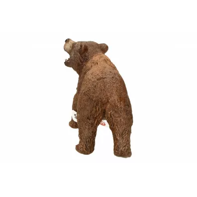 Nied�wied� Grizzly
