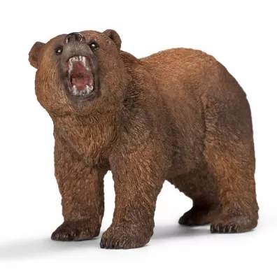 Nied�wied� Grizzly