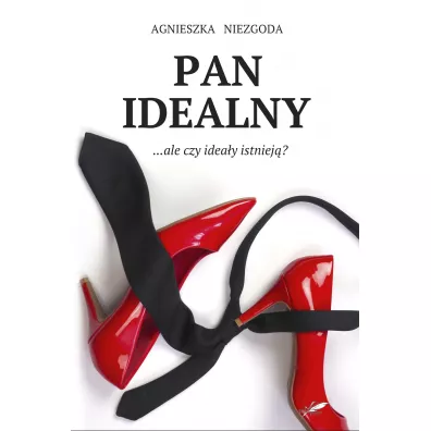 Pan Idealny - Agnieszka Niezgoda