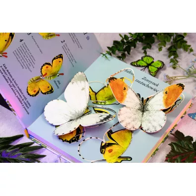 Motyle. M�odzi Przyrodnicy