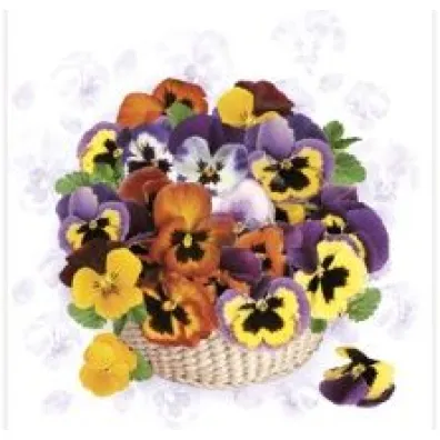 Serwetka Lunch Colorful Pansies SDWI007901
