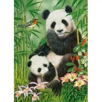 Puzzle 300 el. Panda Brunch Castorland