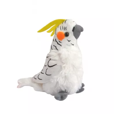 Papuga nimfa bia�a 17cm Beppe