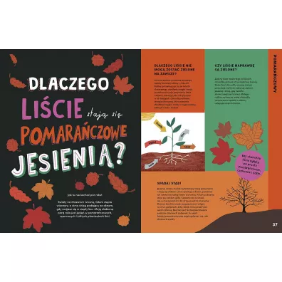 T�cza w kosmosie. Kolorowy przewodnik po tym, co ciekawe