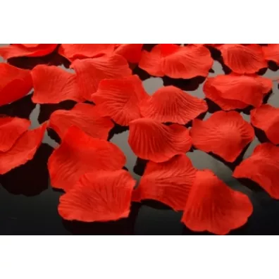 PartyDeco P�atki r� w woreczku czerwone