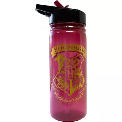 Bidon Harry Potter PP HP91553 600 ml