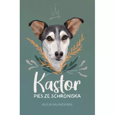 Kastor. Pies ze schroniska - Alicja  Kalinowska