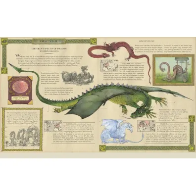 Dragonology: New 20th Anniversary Edition