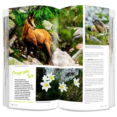 Tatry i Zakopane light przewodnik + mapa