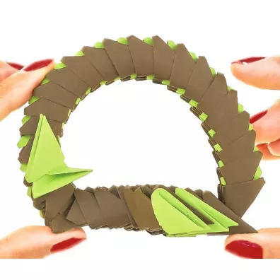 Origami 3D - Papuga/Parrot Alexander