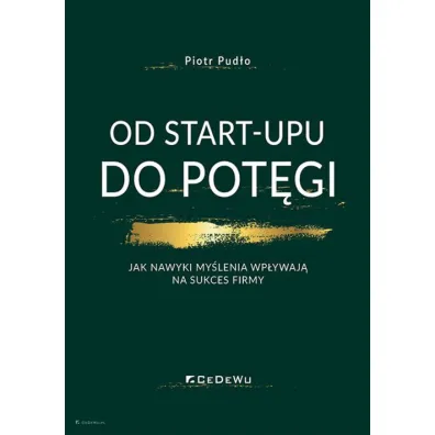 Od start-upu do pot�gi - Piotr Pud�o