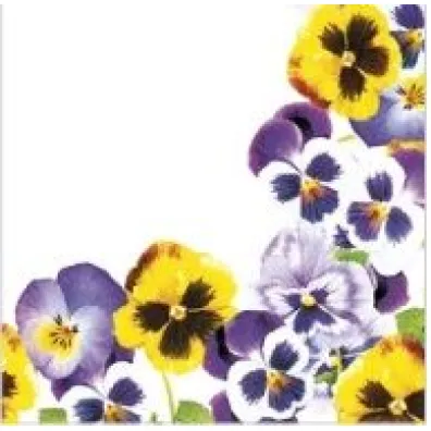 Serwetki Lunch Daisy - Pansies Frame SDWI009601