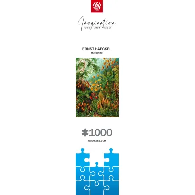 Puzzle 1000 el. Imagination: Ernst Haeckel Muscinae Good Loot
