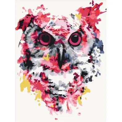 Brushme Malowanie po numerach - Sowa w kolorach 40x50cm