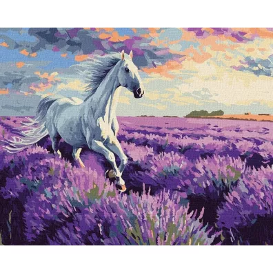 Ideyka Malowanie po numerach - W lawendowych polach 40x50cm
