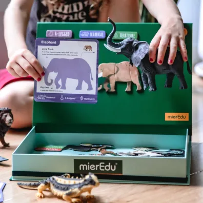Puzzle Magnetyczne Wszystko o zwierz�tach mierEdu
