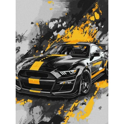 Ideyka Malowanie po numerach - Styl sportowy 30x40cm