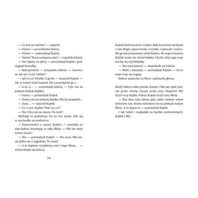 Kajtek i Mi�