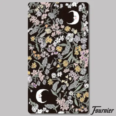 Tarot Carlotydes