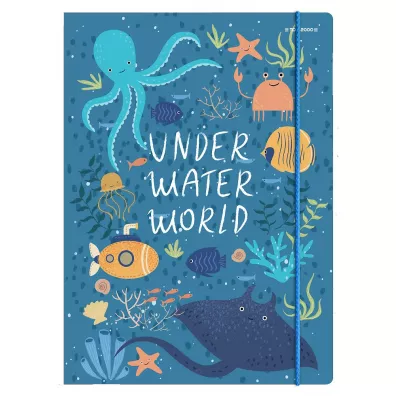 Top-2000 Teczka z gumk C4