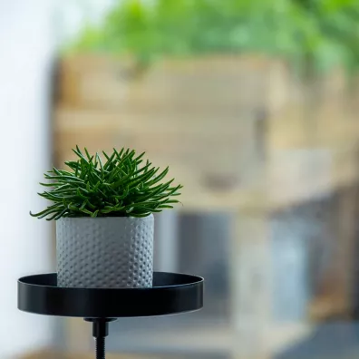 Esschert Design Kwietnik parapetowy z zaciskiem S