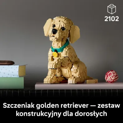 LEGO Icons Szczeniak golden retriever 11384