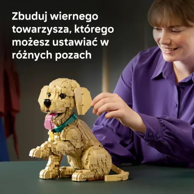 LEGO Icons Szczeniak golden retriever 11384