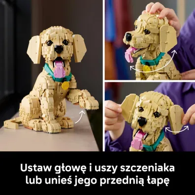 LEGO Icons Szczeniak golden retriever 11384