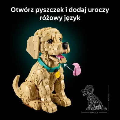 LEGO Icons Szczeniak golden retriever 11384