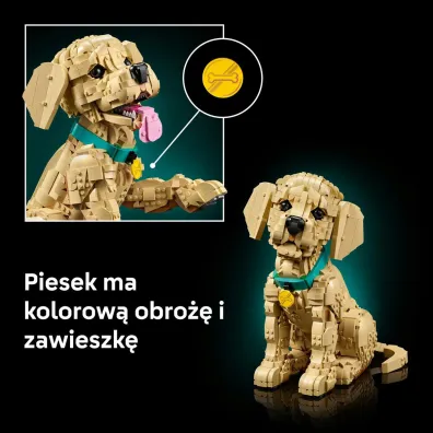 LEGO Icons Szczeniak golden retriever 11384