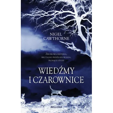 Wied�my i czarownice - Nigel Cawthorne