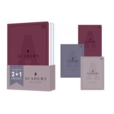 Interdruk Zestaw zeszyt�w A5 Academy 2+1 gratis linia 60 kartek