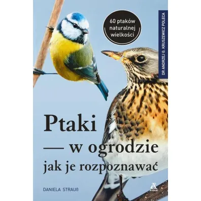 Ptaki w ogrodzie - jak je rozpoznawa� - Daniela Strauss