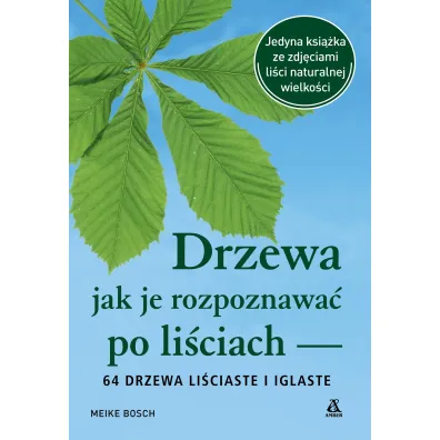 Drzewa - jak je rozpoznawa� po li�ciach - Meike Bosch