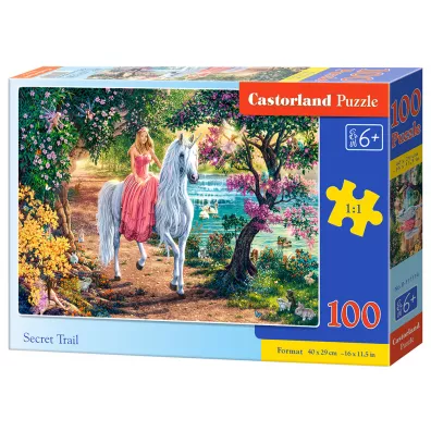 Puzzle 100 el. Sekretny szlak Castorland