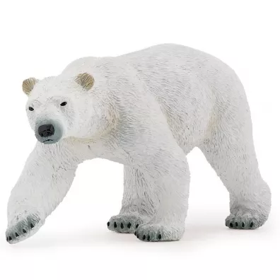 Niedwied polarny