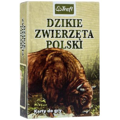Dzikie Zwierzta Polski