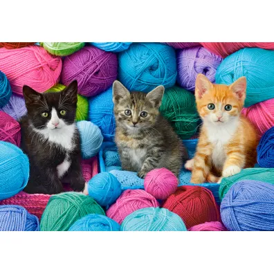 Puzzle 1000 el. Kittens in Yarn Store Castorland