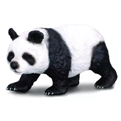 Panda wielka