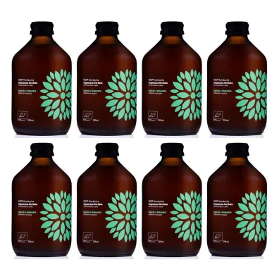 Vigo Yoko Kombucha z og�rkiem i kolendr� bezglutenowa Zestaw 8 x 315 ml Bio