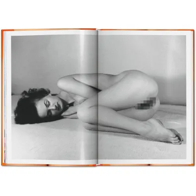 The Little Big Book of Pussy wer. angielska