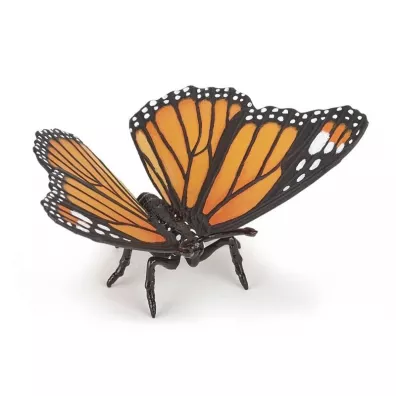 Motyl