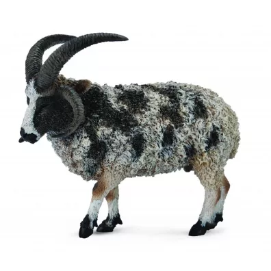 Owca wielorga